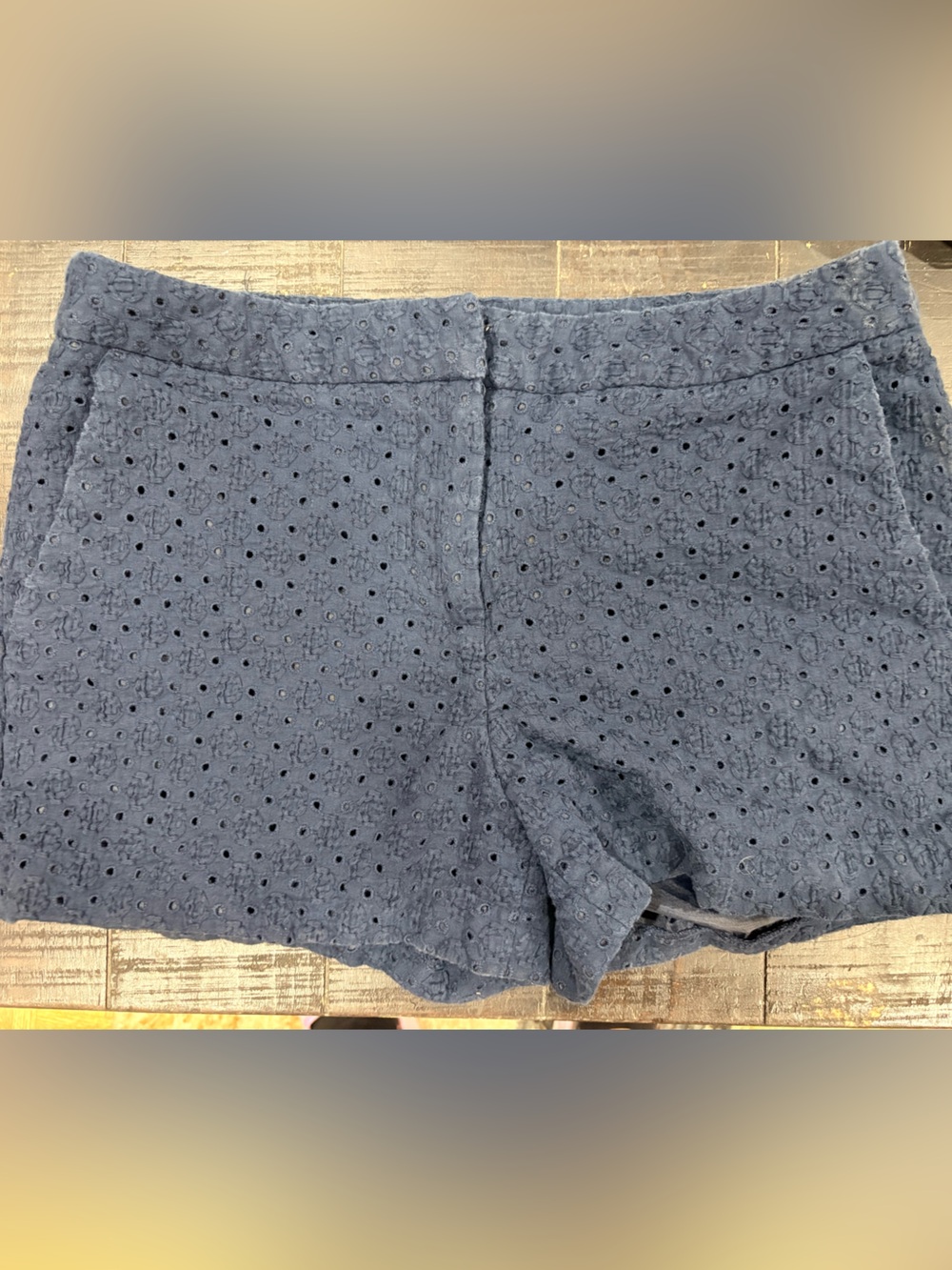 Harve Benard Navy Eyelet A-Line Skirt